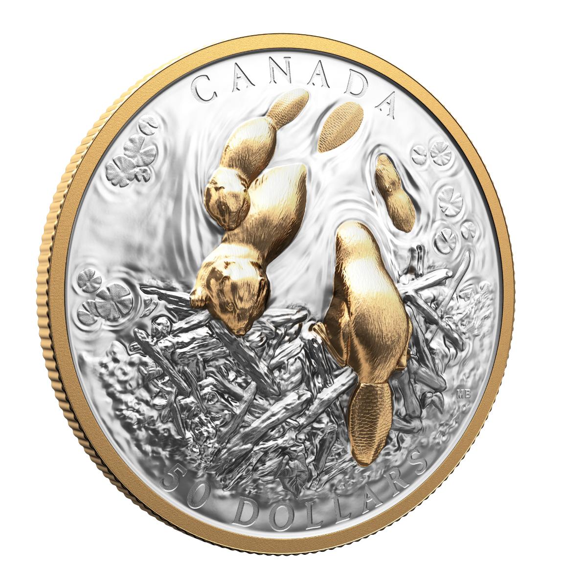 2025 $50 Canadian Symbol: The Beaver - Pure Silver Coin