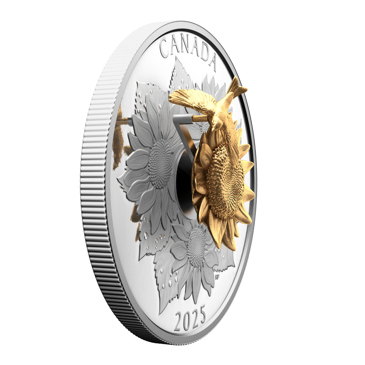 2025 $50 The Goldfinch and the Bloom - Pure Silver Coin