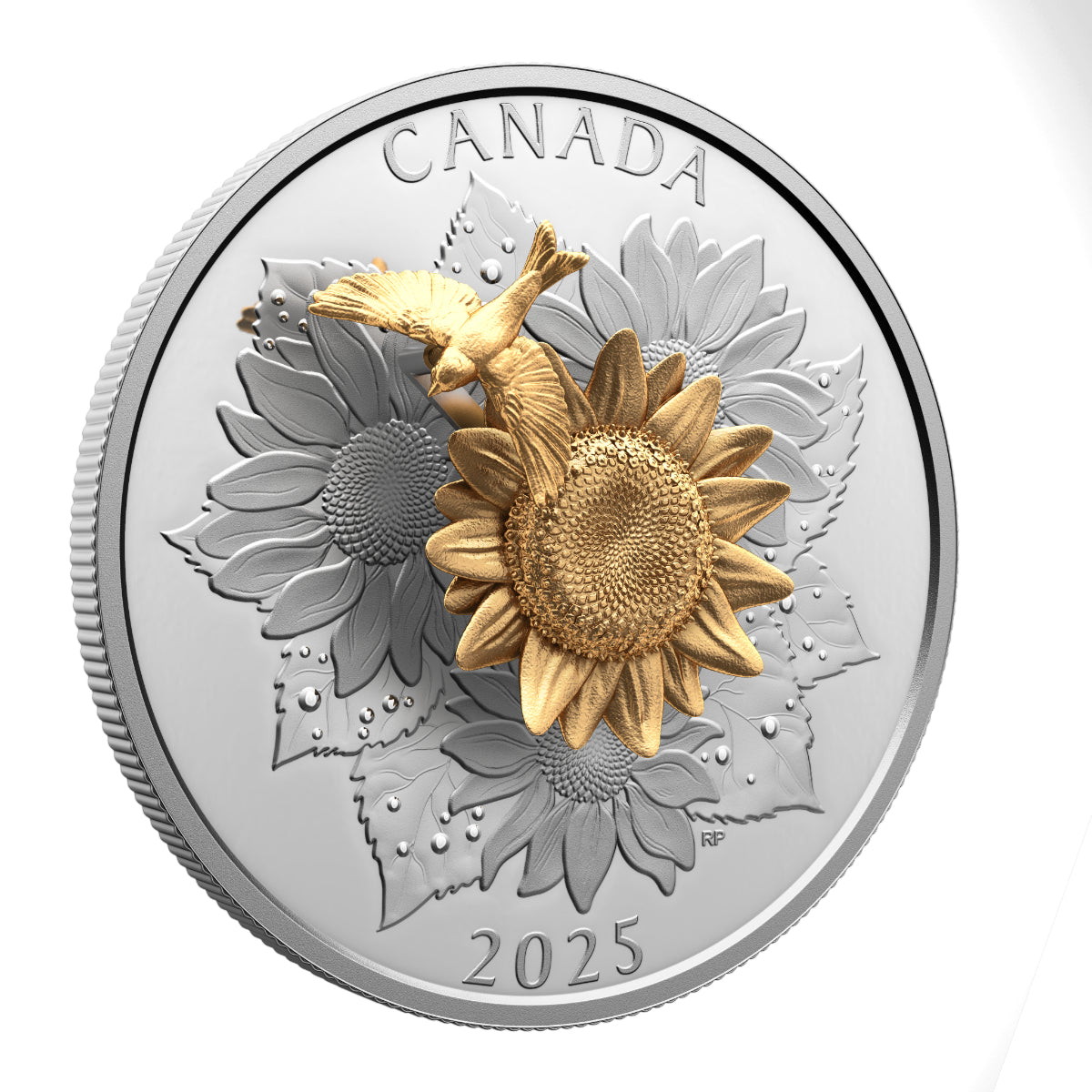 2025 $50 The Goldfinch and the Bloom - Pure Silver Coin