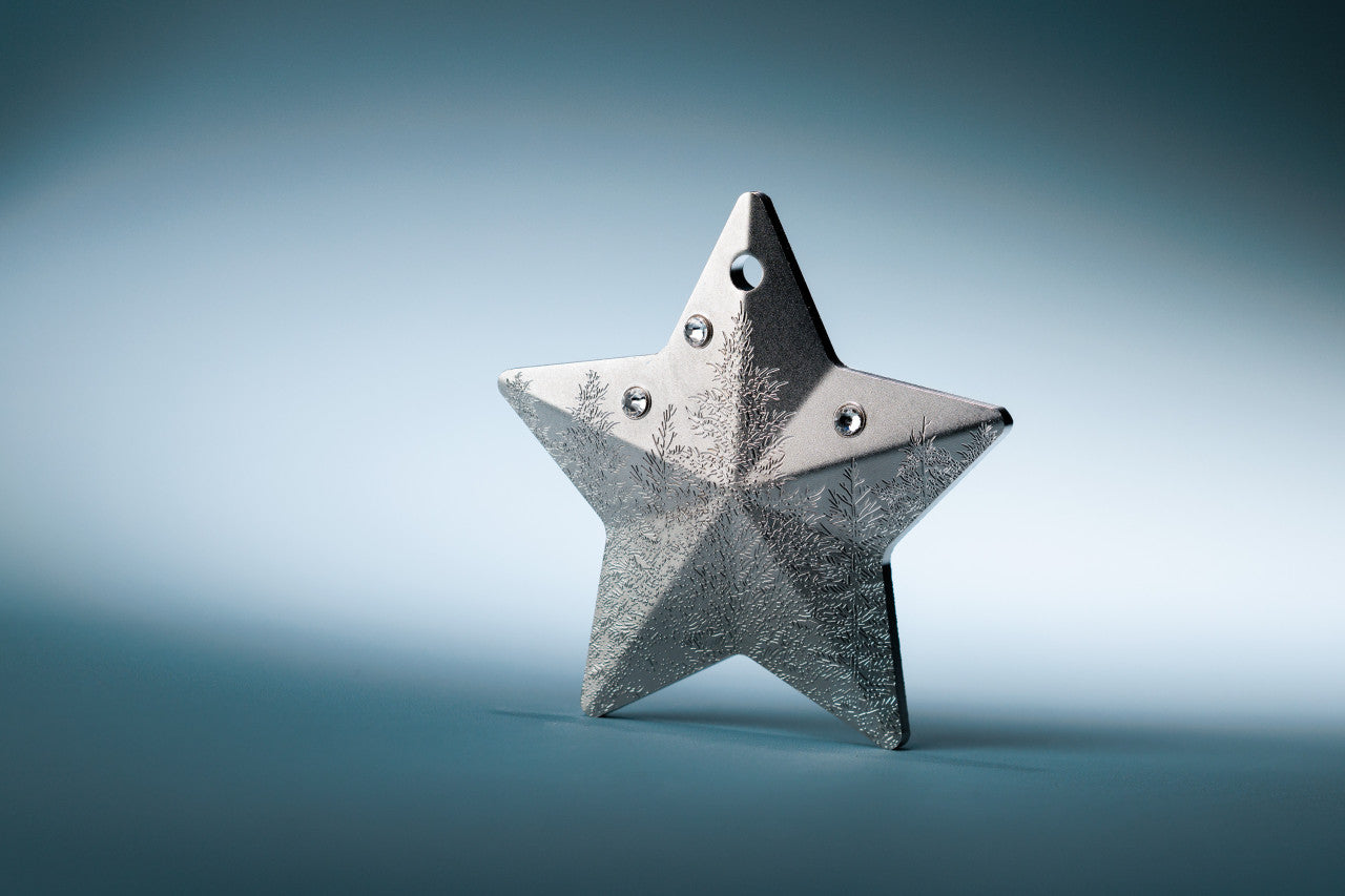 2025 $5 Holiday Ornament: Winter Frost - Pure Silver Coin