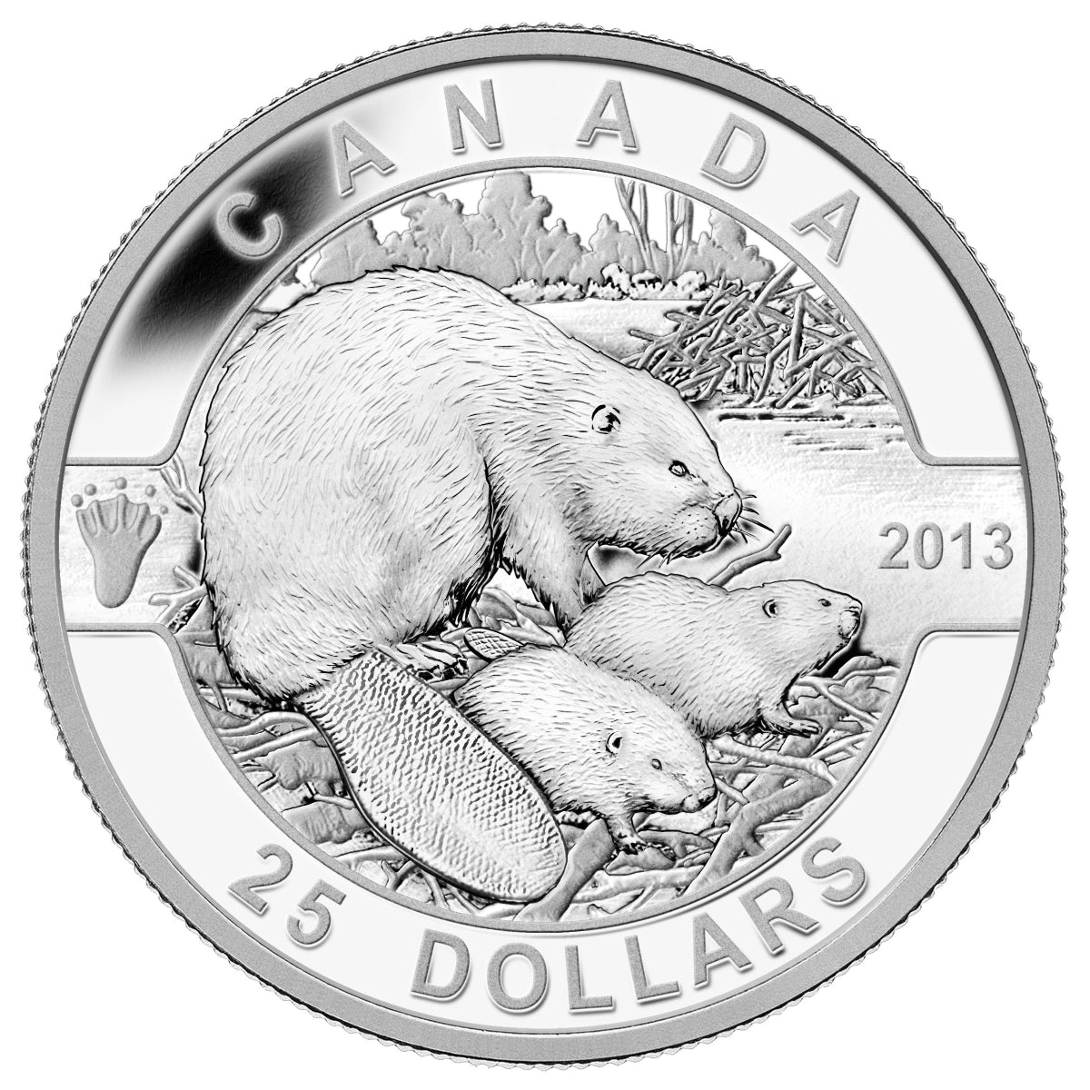 2013 $25 O Canada Series - Pure Silver 5-Coin Set