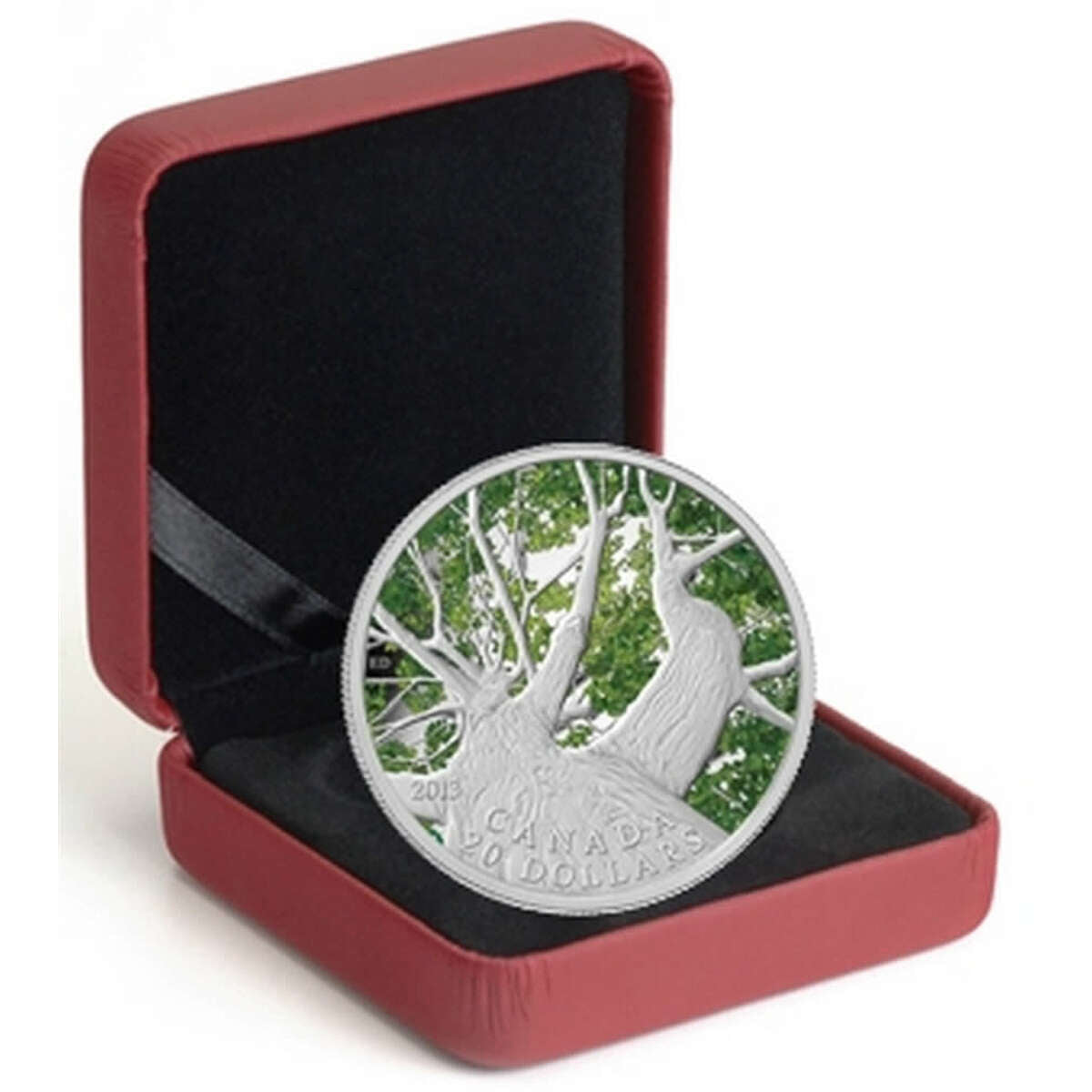 2013 $20 Maple Canopy: Spring - Pure Silver Coin