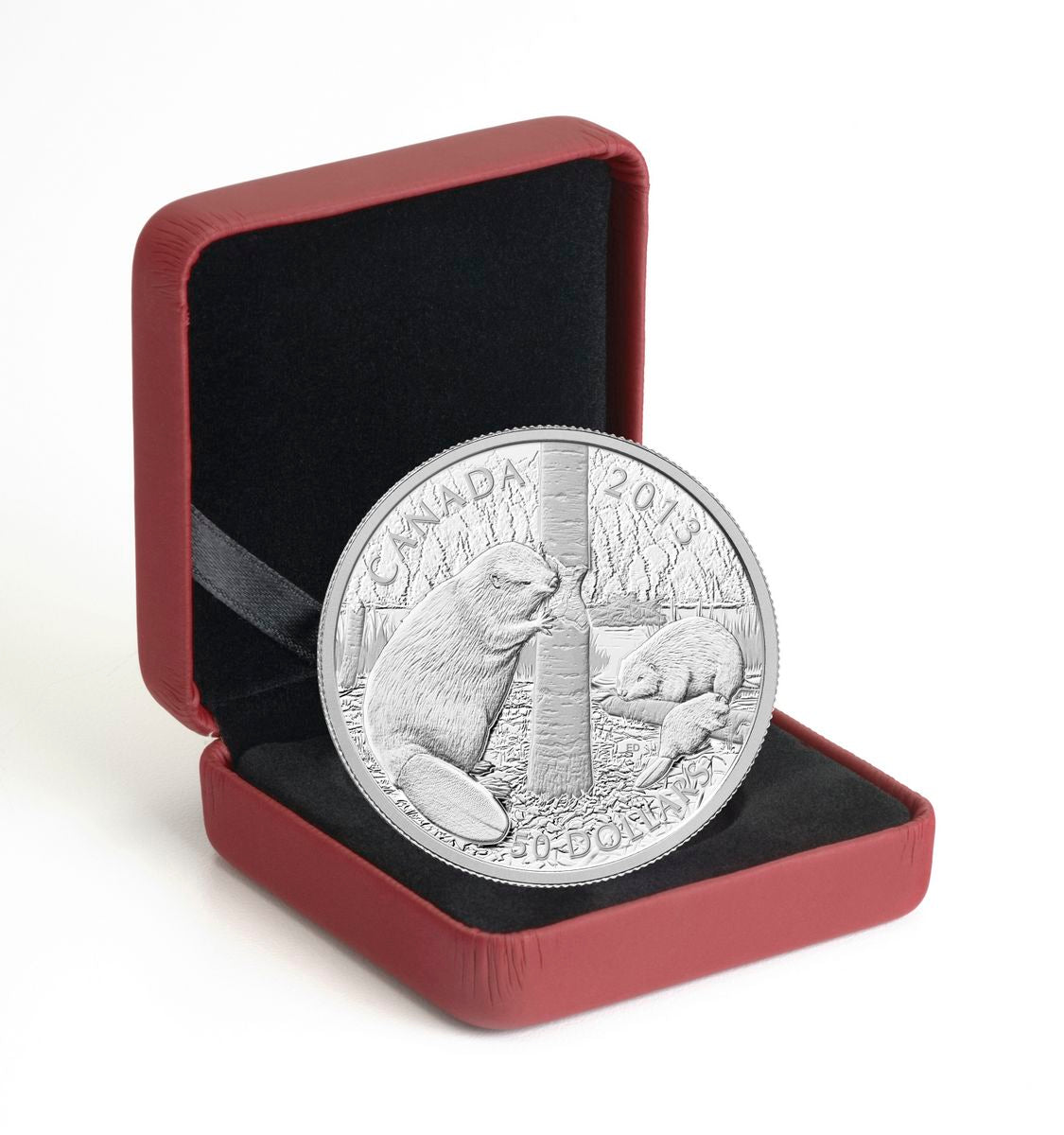 2013 $50 The Beaver - Pure Silver Coin