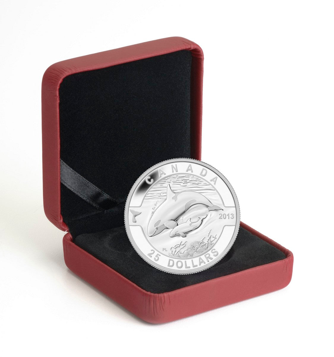 2013 $25 O Canada: Orca - Pure Silver Coin