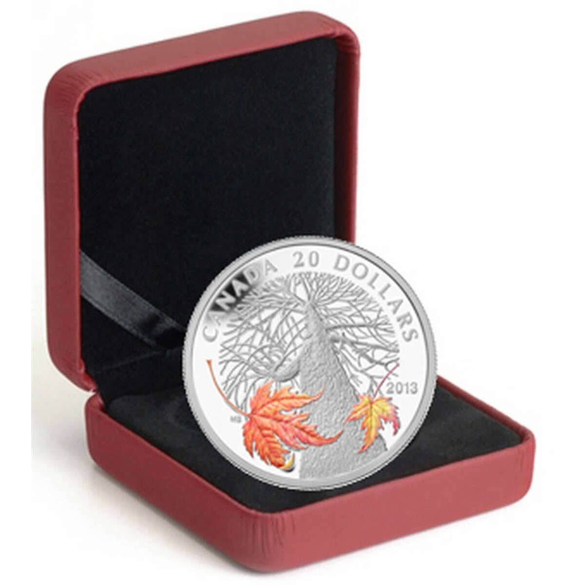 2013 $20 Maple Canopy: Autumn - Pure Silver Coin