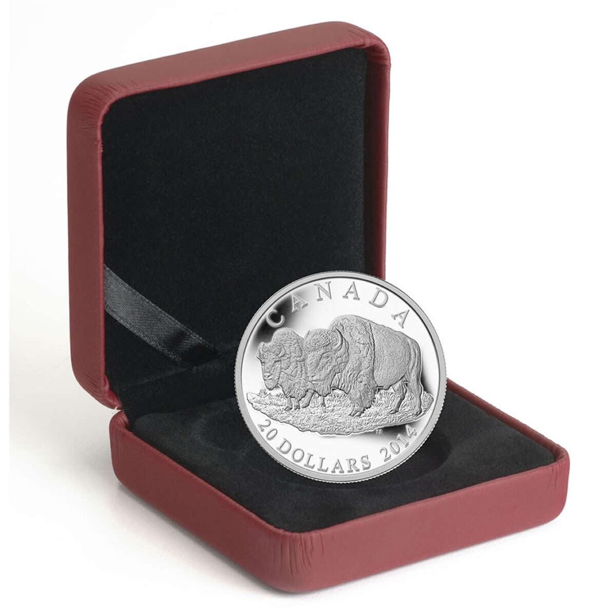 2014 $20 The Bison: The Bull And His Mate - Pure Silver Coin