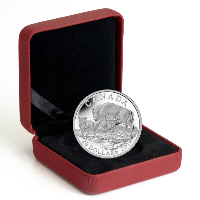 2014 $20 The Bison: A Family at Rest - Pure Silver Coin