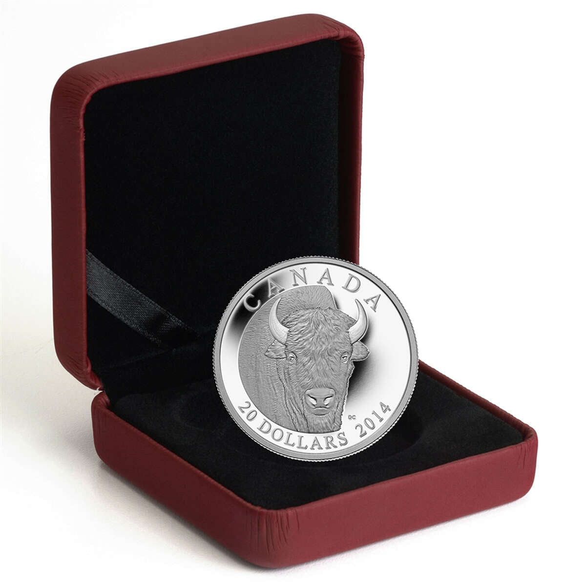 2014 $20 The Bison: A Portrait - Pure Silver Coin