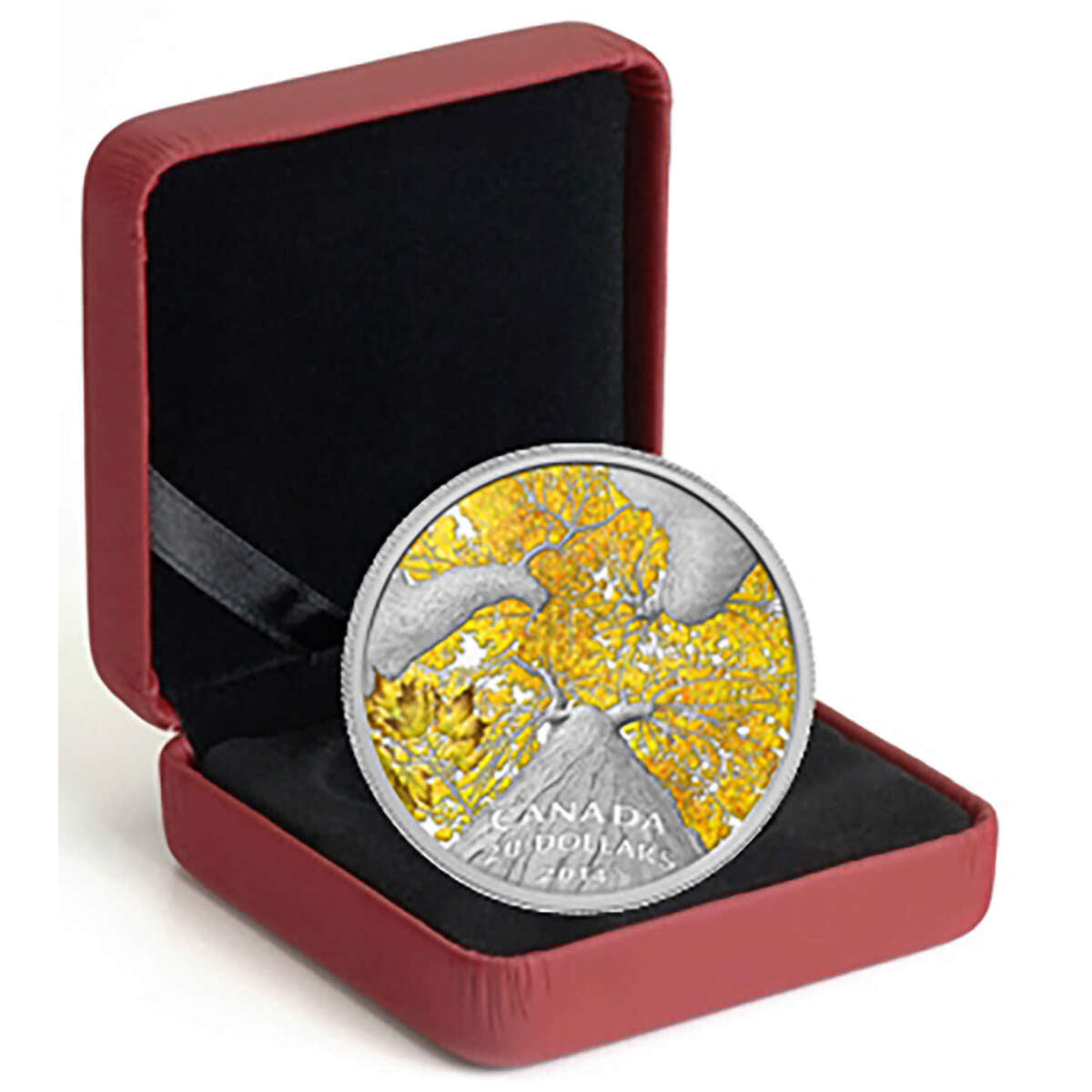 2014 $20 Maple Canopy: Autumn Allure - Pure Silver Coin