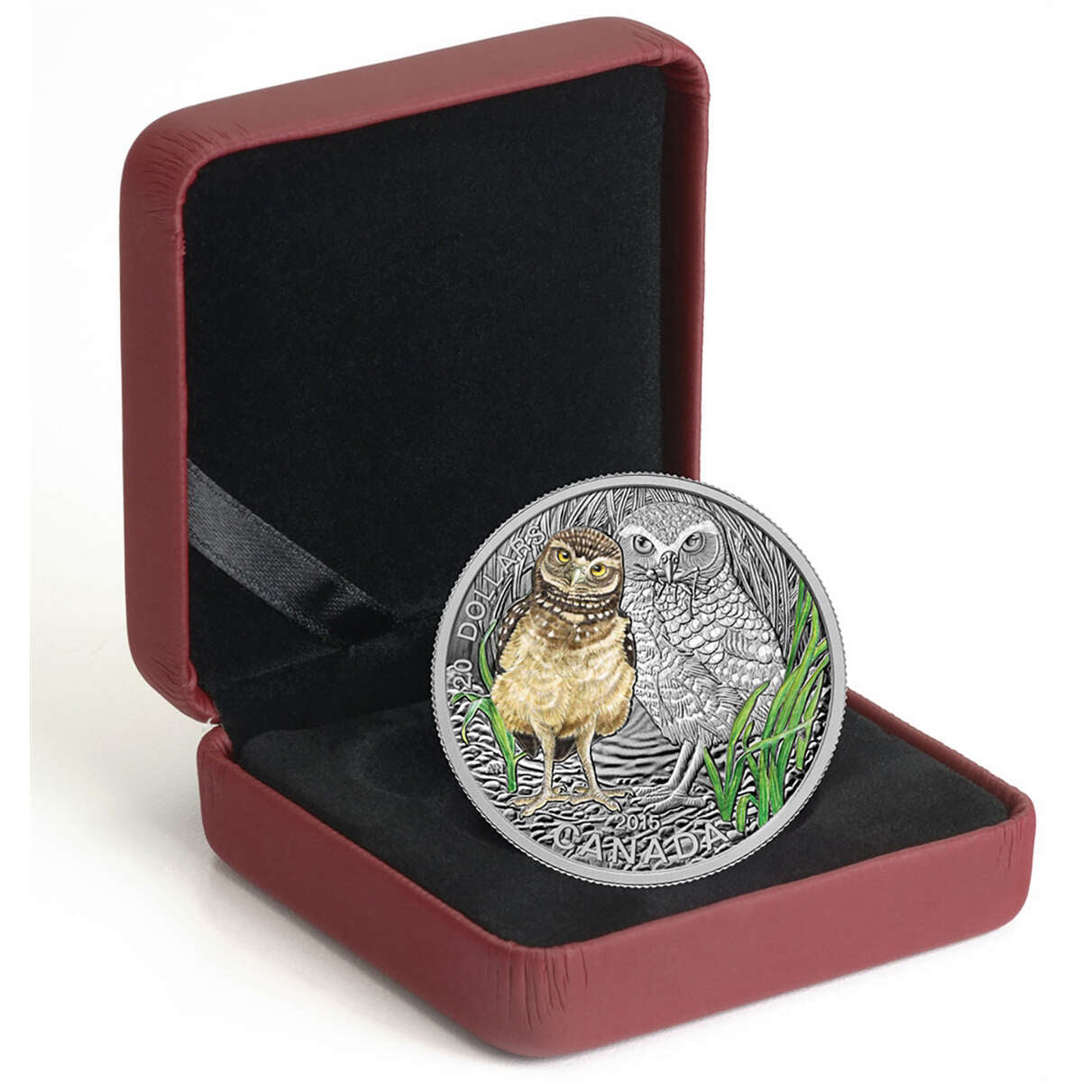 2015 $20 Baby Animals: Burrowing Owl - Pure Silver Coin