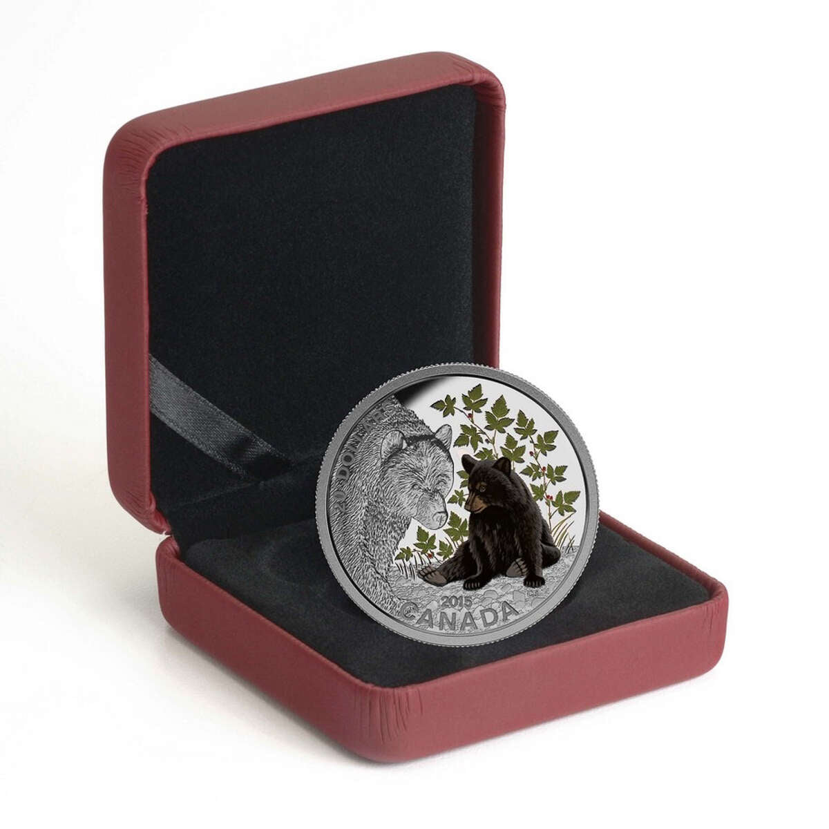 2015 $20 Baby Animals: Black Bear - Pure Silver Coin