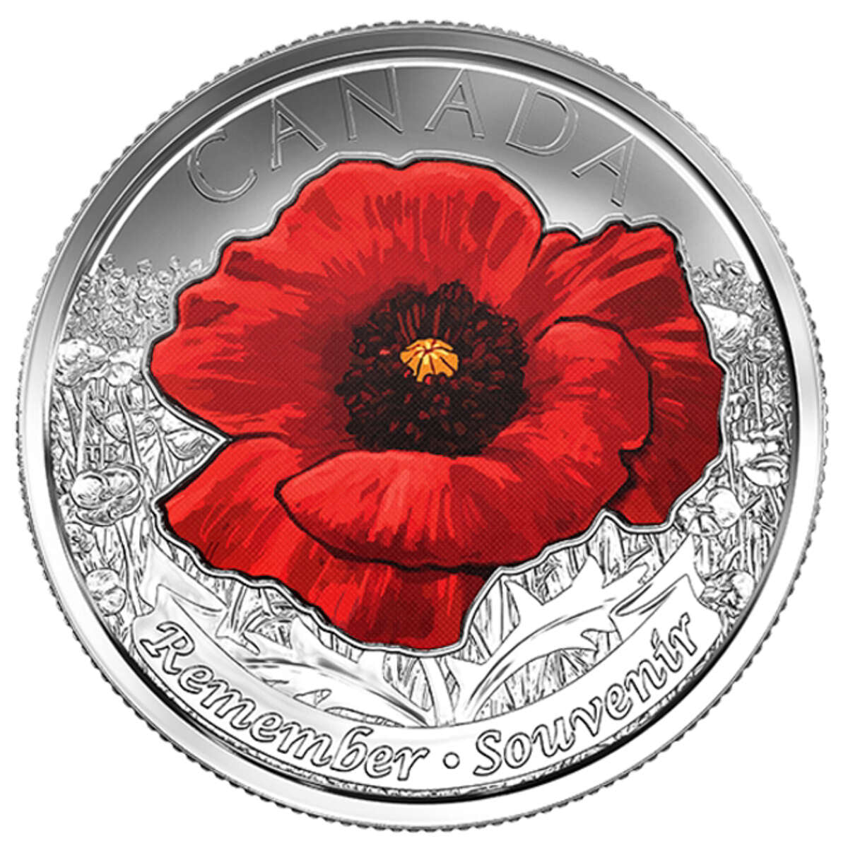 2015 In Flanders Fields and Poppy - Remebrance Coin Pack