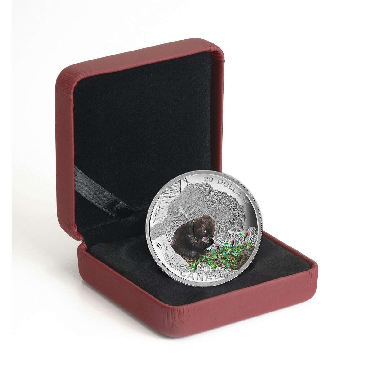 2016 $20 Baby Animals: Porcupine - Pure Silver Coin