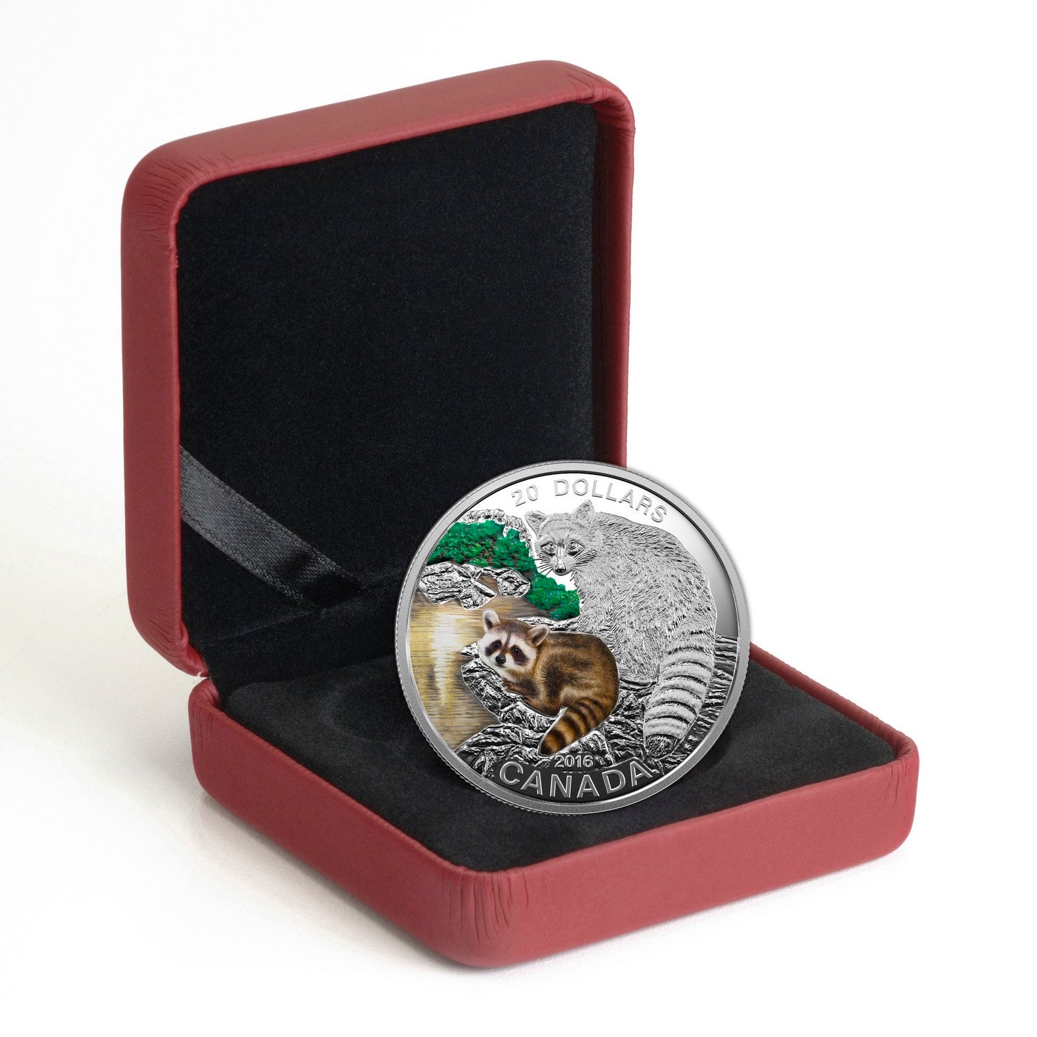 2016 $20 Baby Animals: Raccoon - Pure Silver Coin