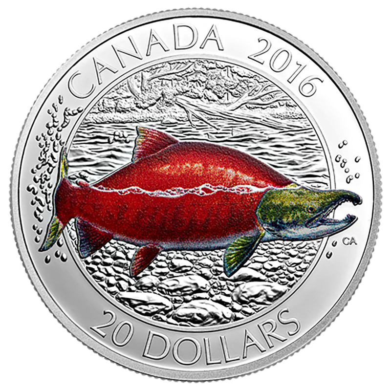 2016 $20 Canadian Salmonids: Atlantic Salmon - Pure Silver Coin Sub