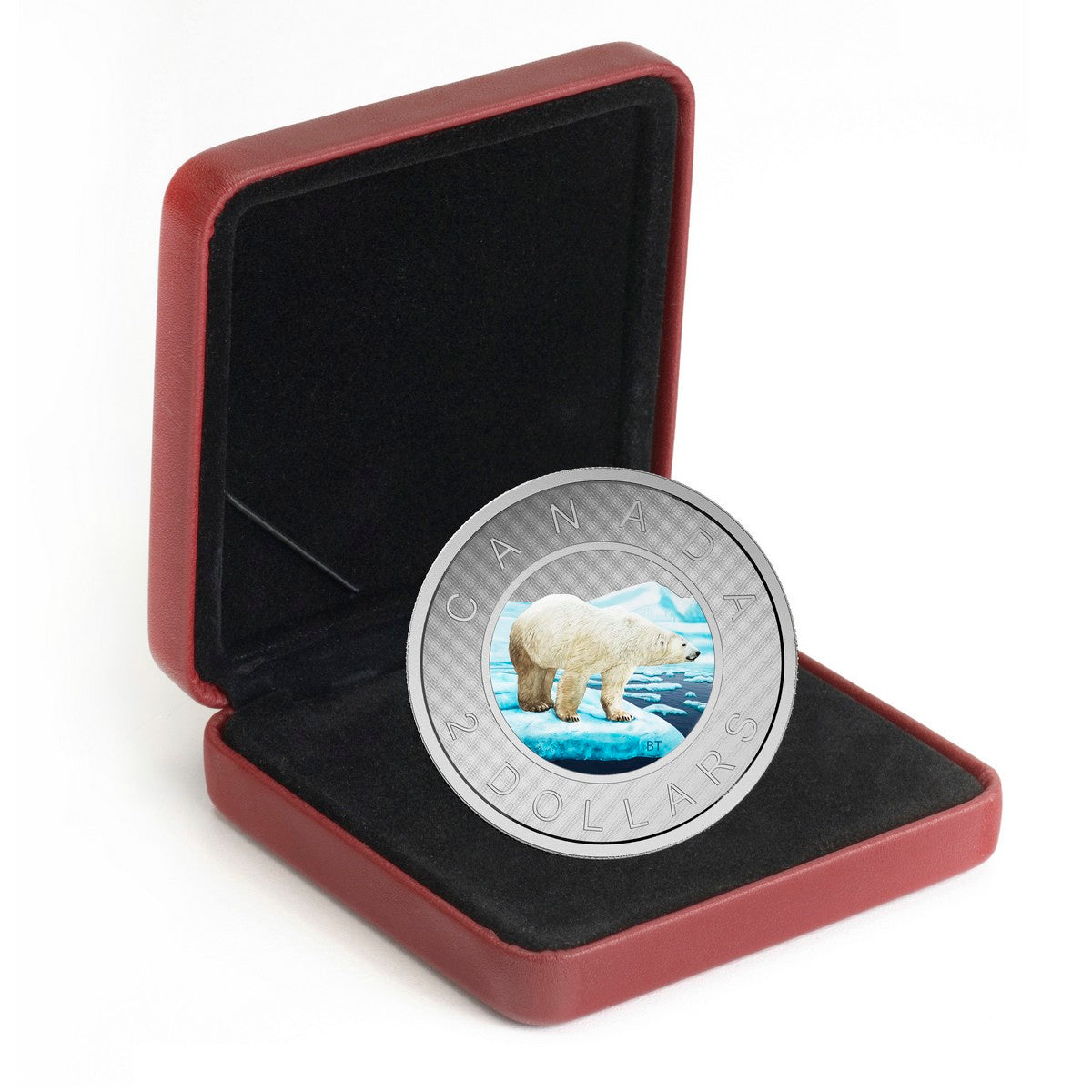 2016 $2 Coloured Big Coin Series: Polar Bear - Pure Silver Coin