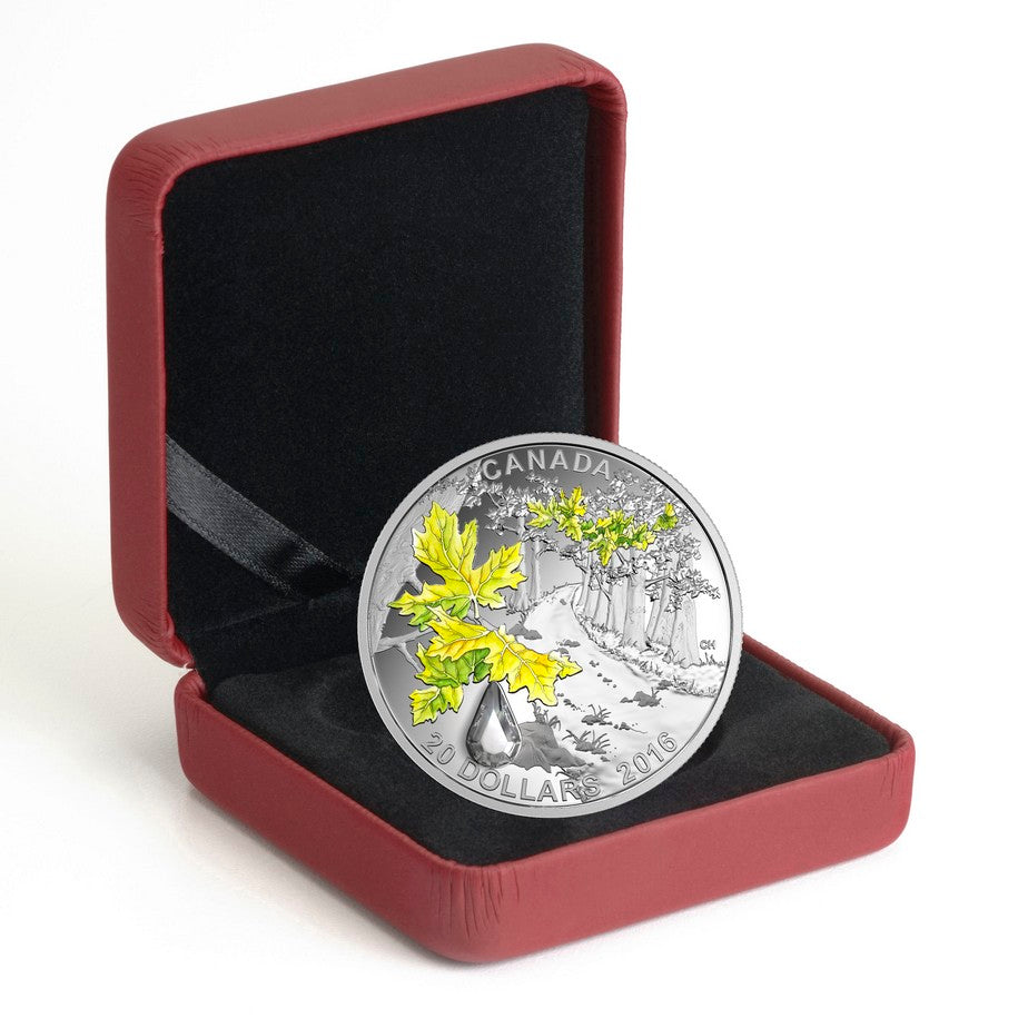 2016 $20 Jewel of the Rain: Bigleaf Maple - Pure Silver Coin