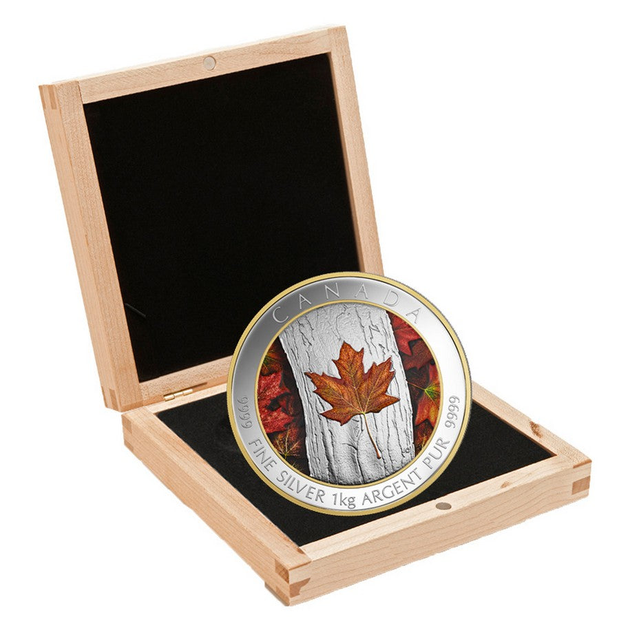 2016 $250 Maple Leaf Forever - Pure Silver Kilo Coin