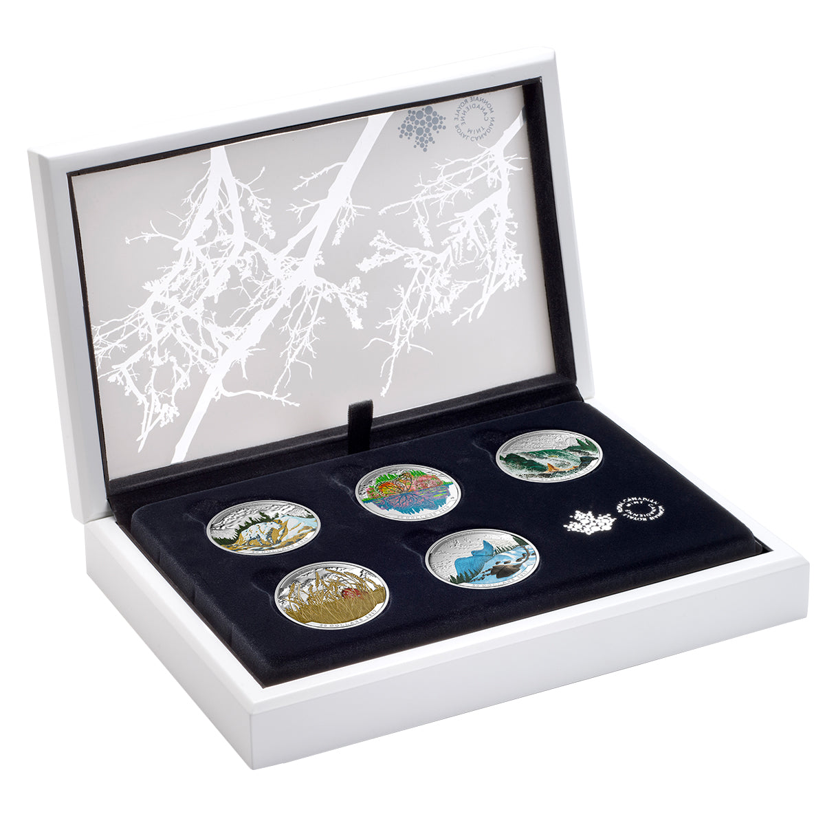 2016 $20 Landscape Illusion - Pure Silver 5 Coin Set