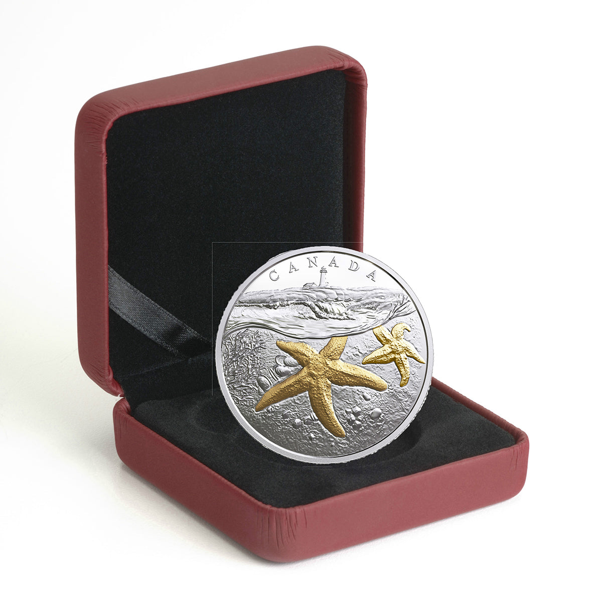 2017 $20 From Sea to Sea to Sea: Atlantic Starfish - Pure Silver Coin