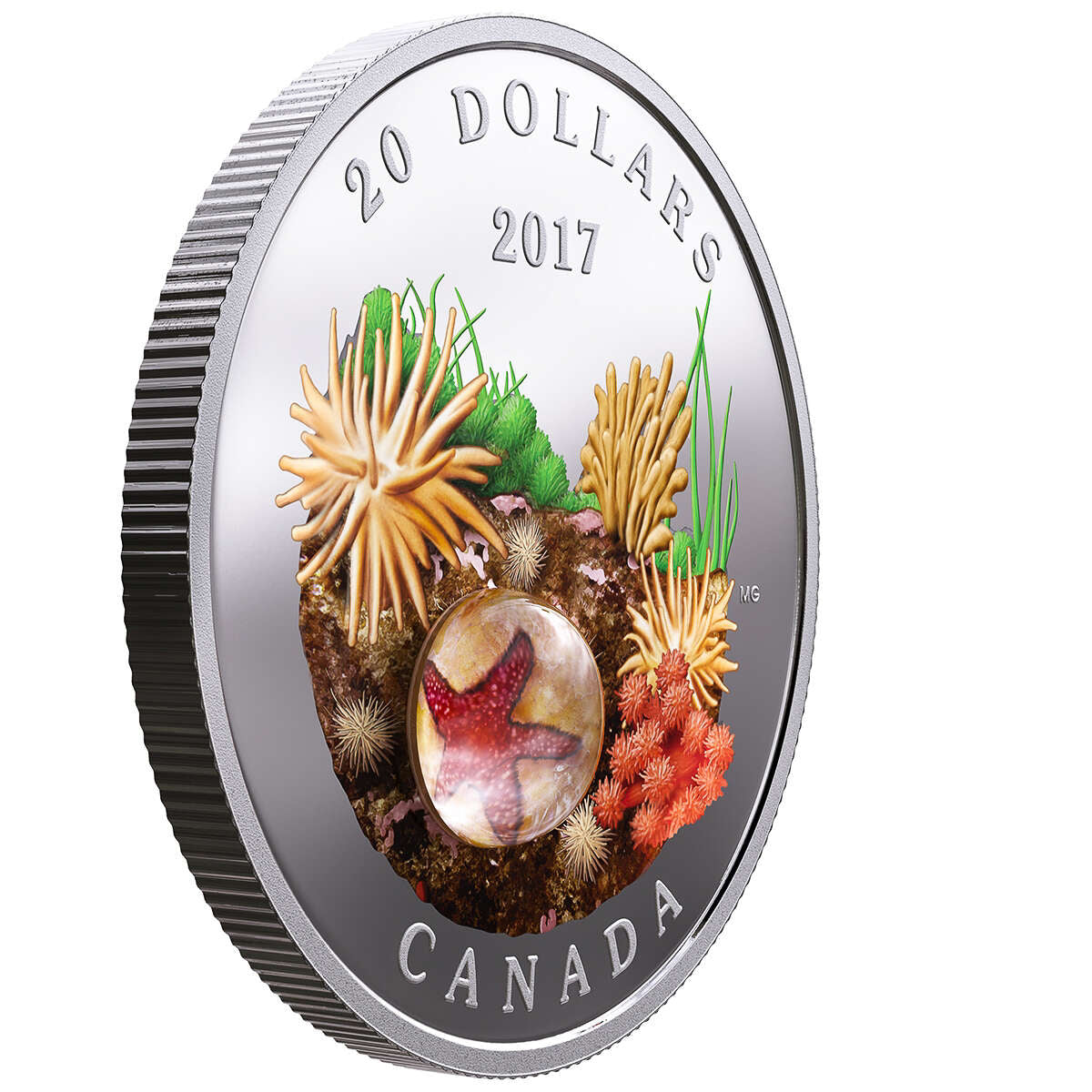 2017 $20 Under the Sea: Sea Star - Pure Silver Coin