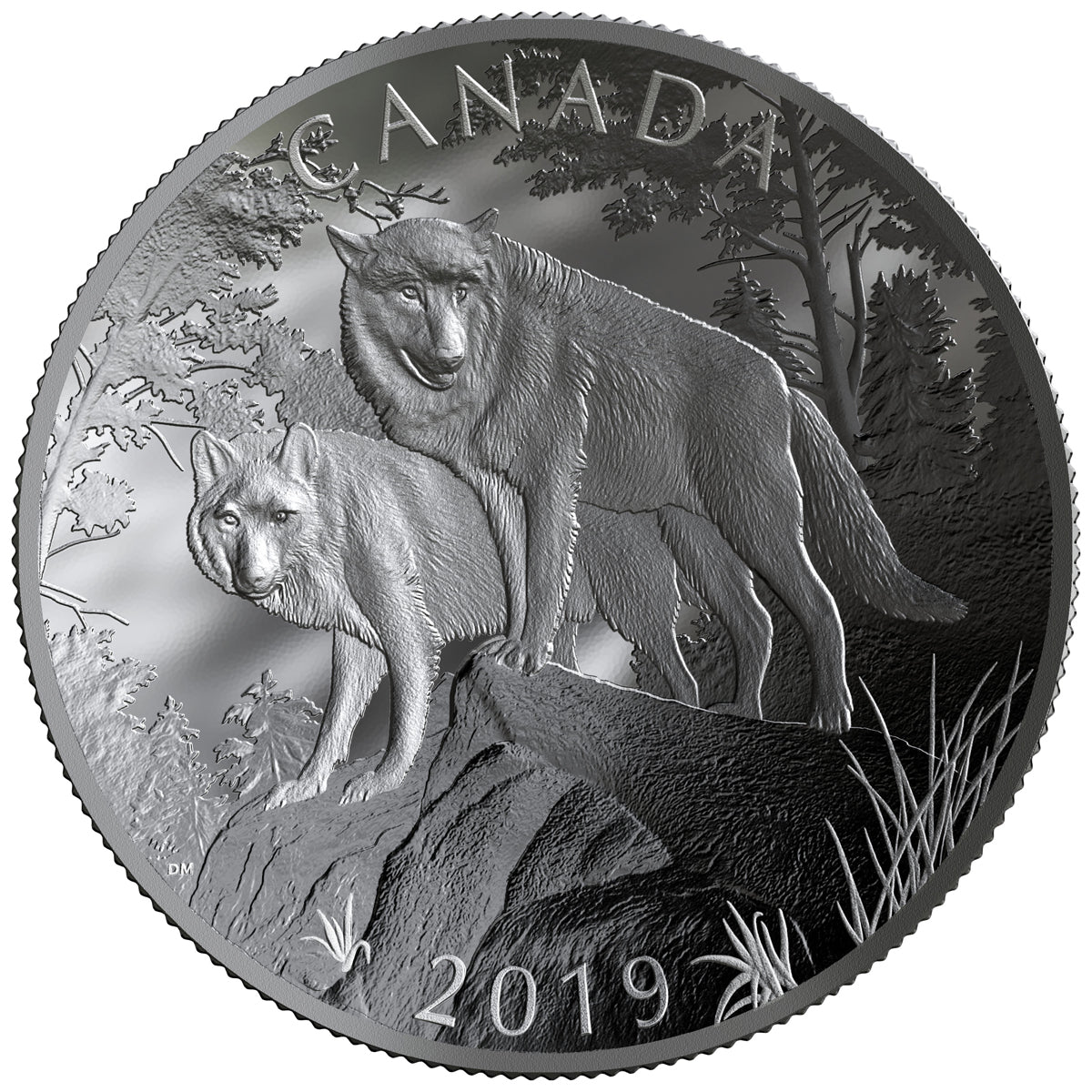 2019 $100 Nature's Grandeur: Wolves - Double Concave Pure Silver Coin