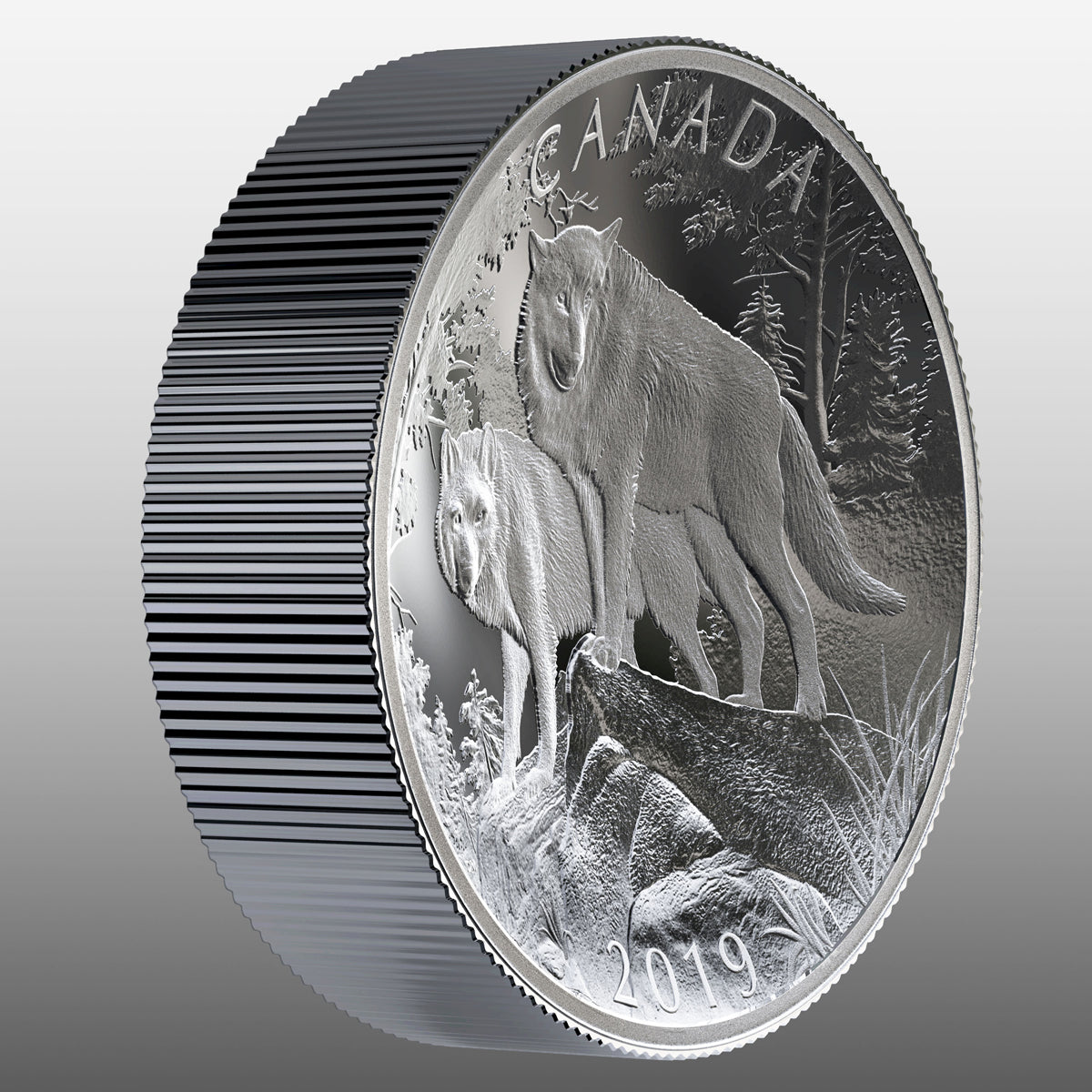 2019 $100 Nature's Grandeur: Wolves - Double Concave Pure Silver Coin