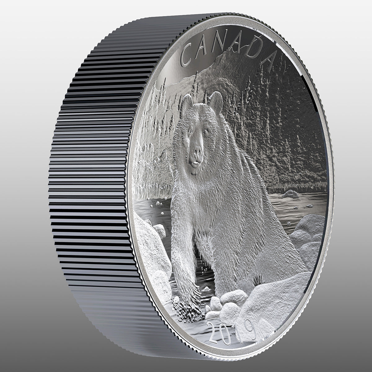 2019 $100 Nature's Grandeur: Brown Bear - Double Concave Pure Silver C