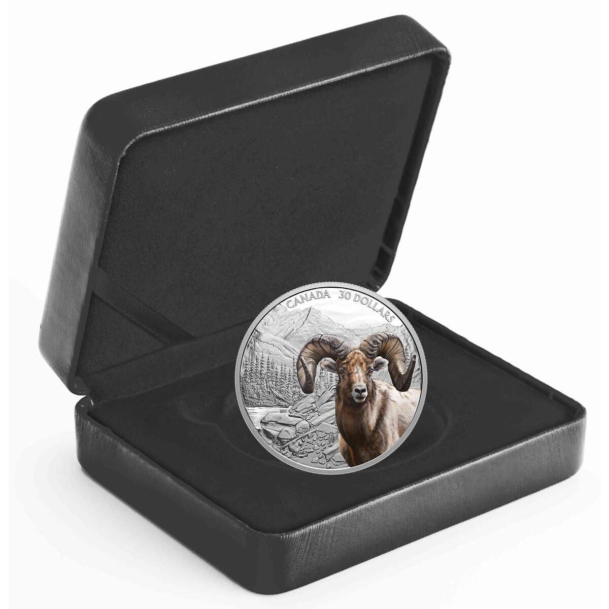 2020 $30 Imposing Icons: Bighorn Sheep - Pure Silver Coin