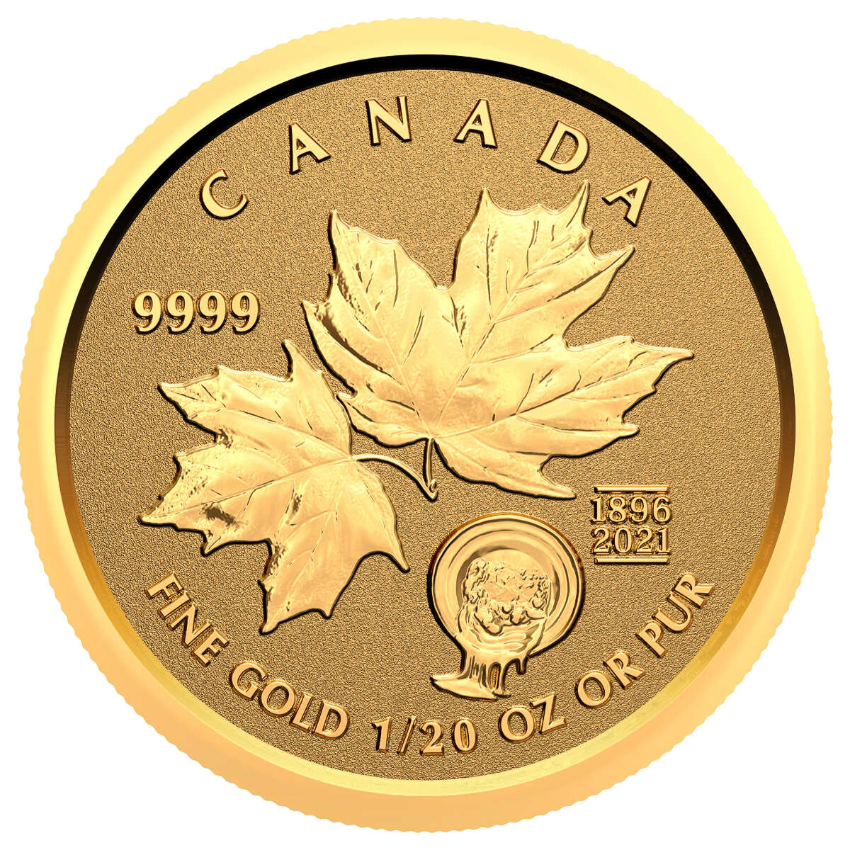 イチジク小苗　Gold Rush ㊿ イチジク小苗 Gold Rush ㊿