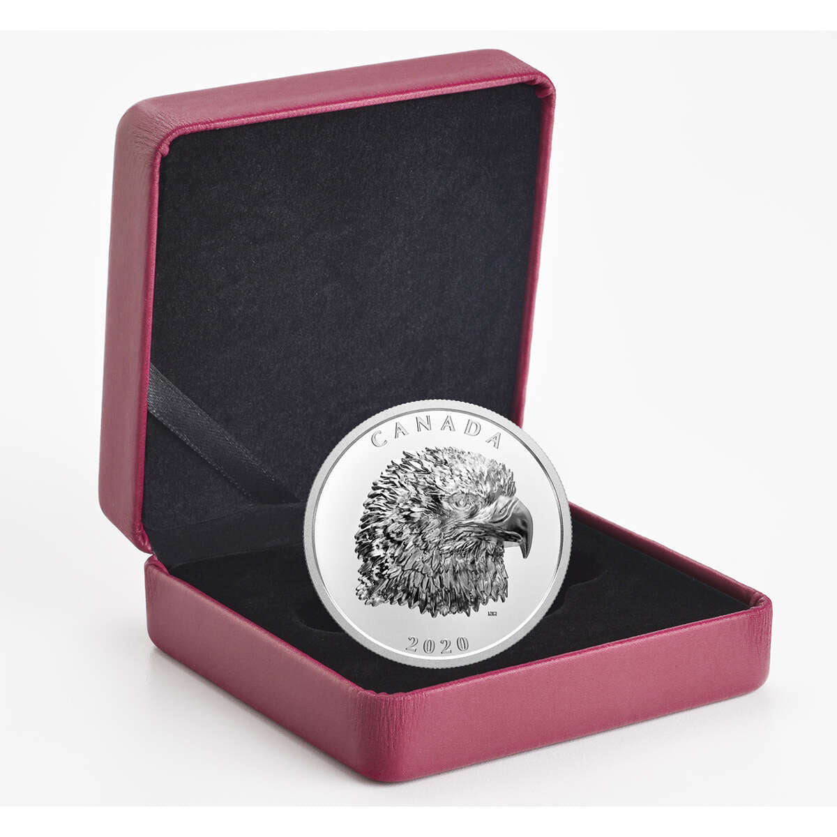 2020 $25 Proud Bald Eagle - Pure Silver Coin