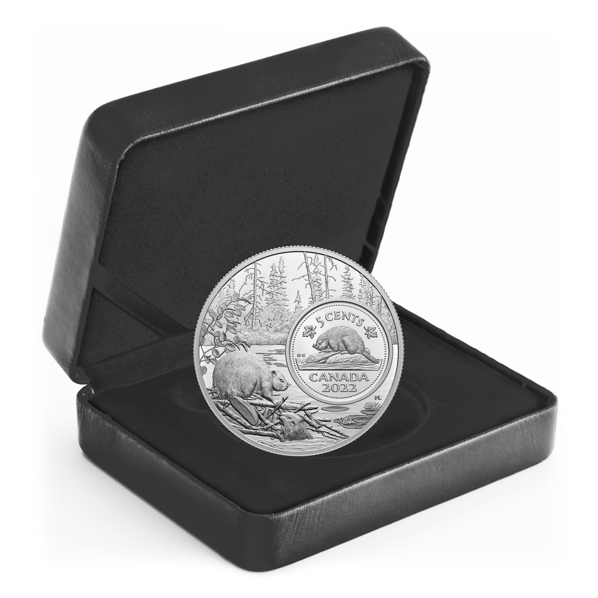 2022 5c The Bigger Picture: The Beaver - Pure Silver Coin