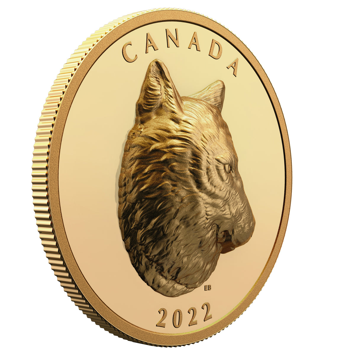 2022 $250 Timber Wolf - Pure Gold Coin