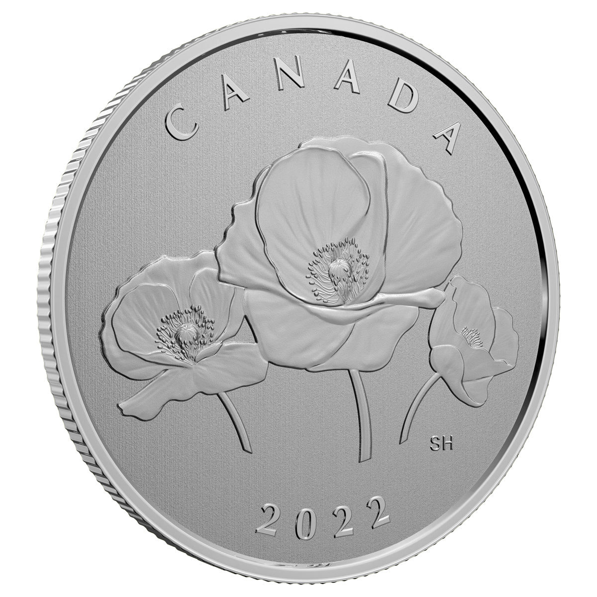 2022 $5 Moments to Hold Remembrance Day - Pure Silver Coin