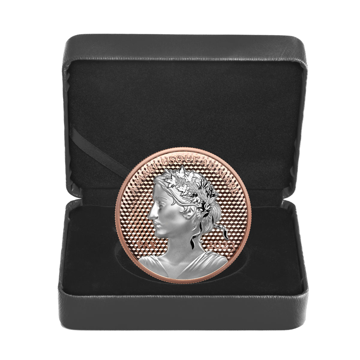 2023 $50 Peace Dollar - Pure Silver Coin