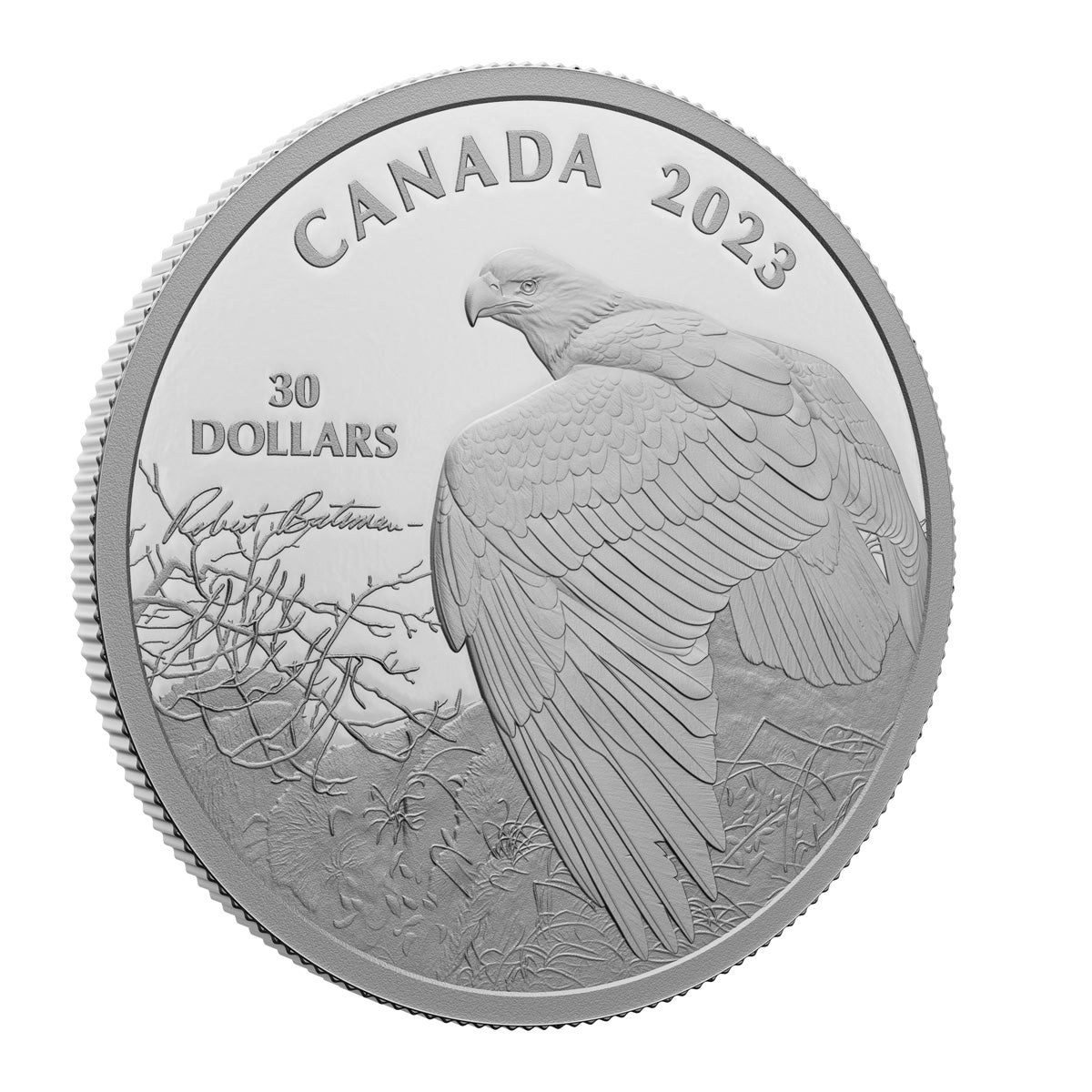 2023 $30 Vantage Point - Bald Eagle, By Robert Bateman - Pure Silver Coin