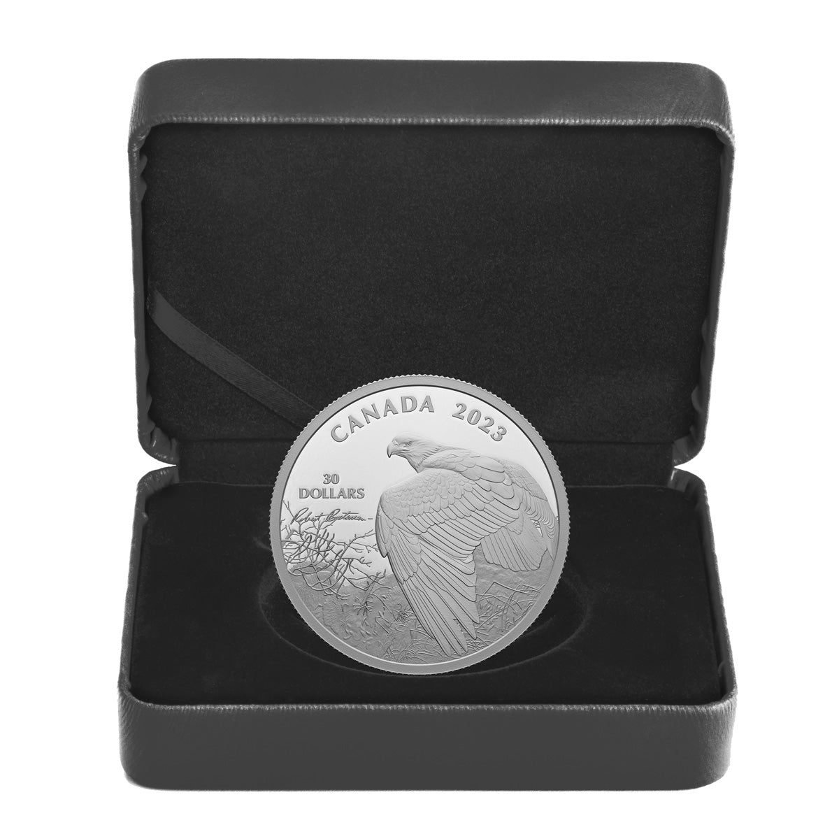 2023 $30 Vantage Point - Bald Eagle, By Robert Bateman - Pure Silver Coin