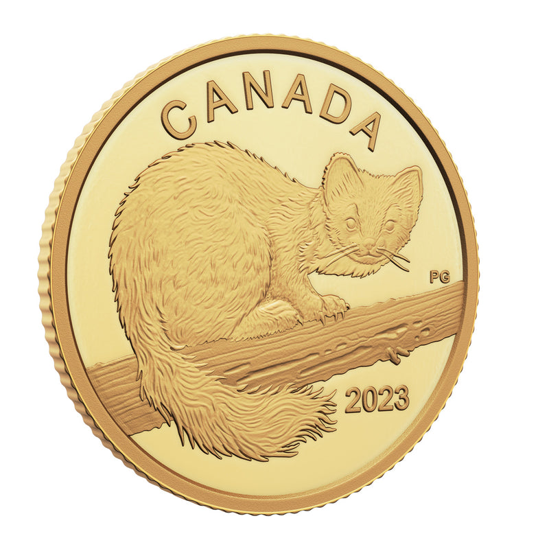 2023 $10 The Curious Marten - Pure Gold Coin