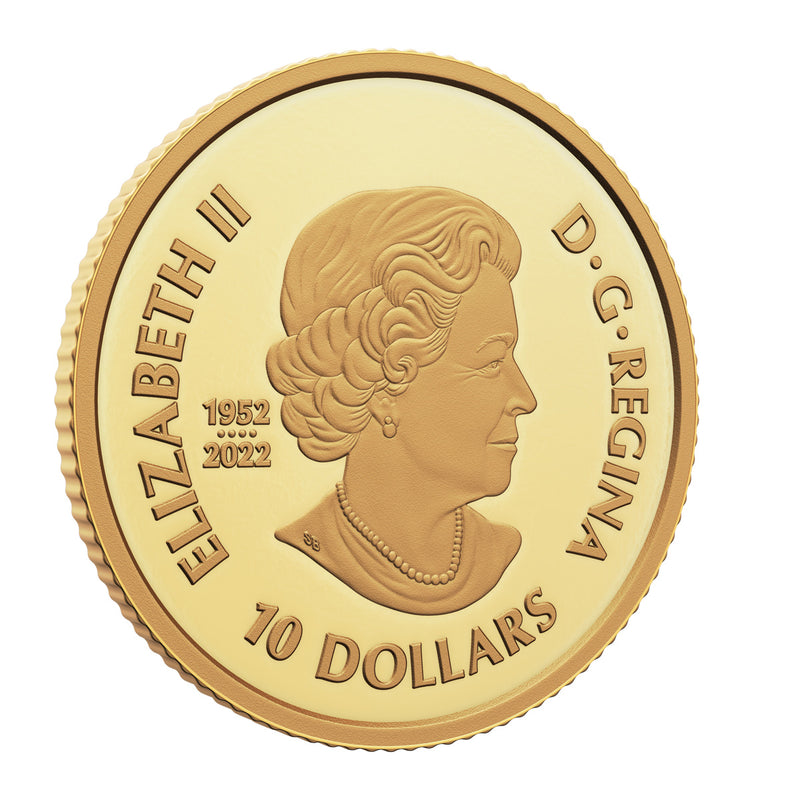 2023 $10 The Curious Marten - Pure Gold Coin