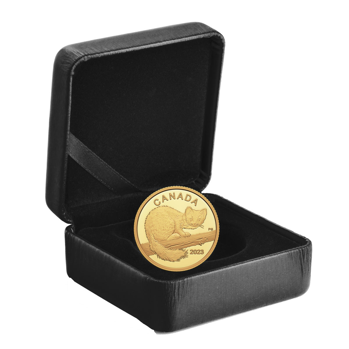 2023 $10 The Curious Marten - Pure Gold Coin