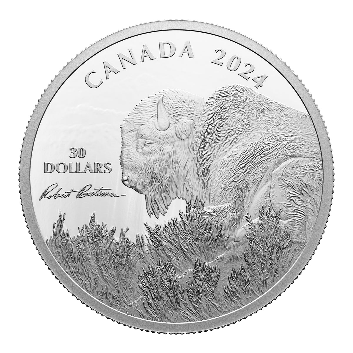 2024 $30 Weather Watch: Bison, by Robert Bateman - Fine Silver Coin