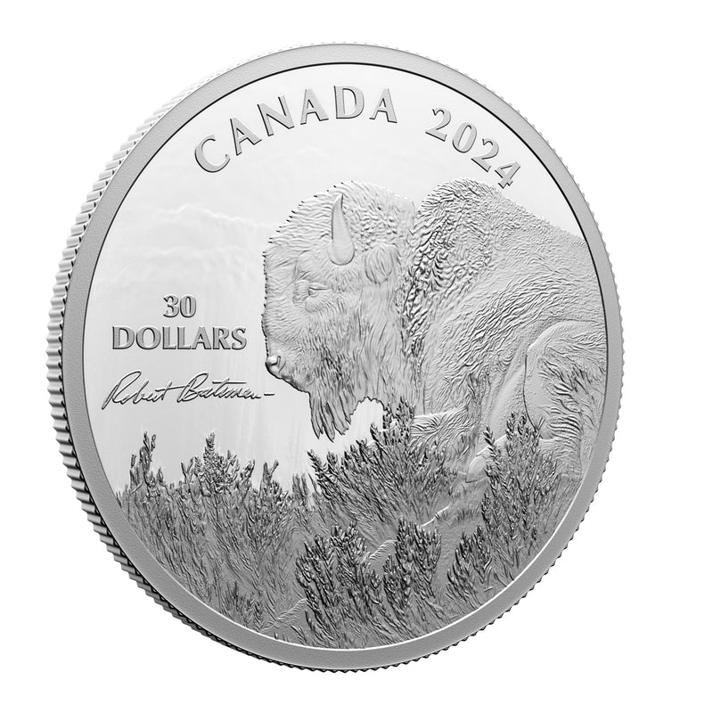 2024 $30 Weather Watch: Bison, by Robert Bateman - Fine Silver Coin