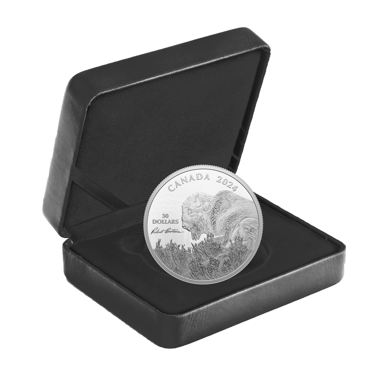 2024 $30 Weather Watch: Bison, by Robert Bateman - Fine Silver Coin