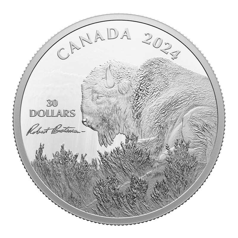 2024 $30 Weather Watch: Bison, by Robert Bateman - Fine Silver Coin