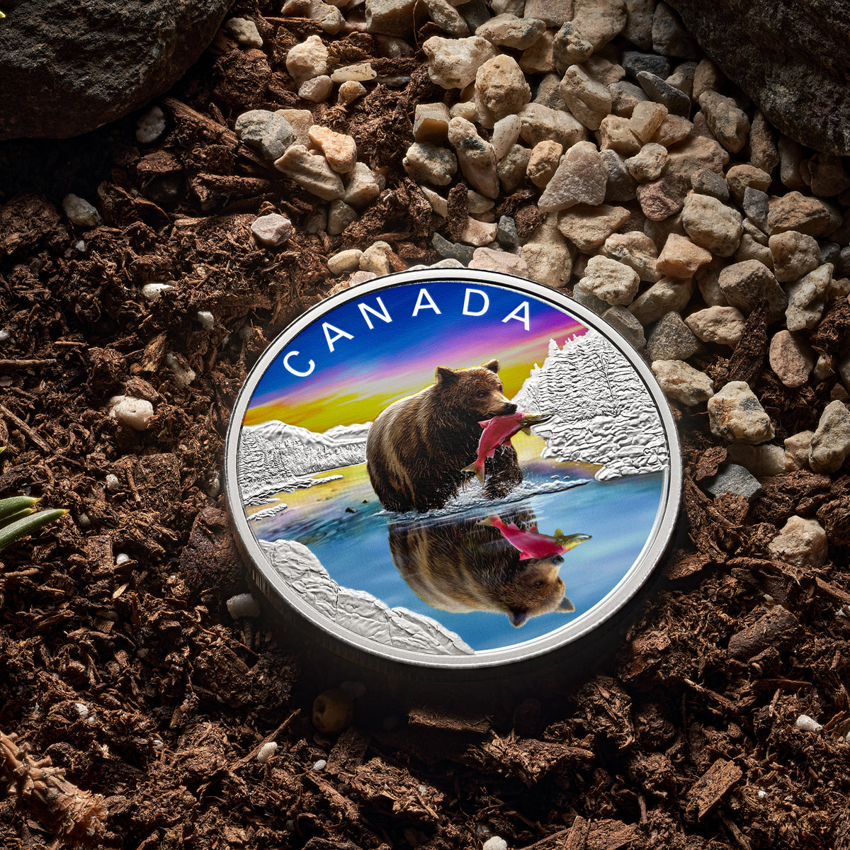 2024 $20 Wildlife Reflections: Grizzly Bear - Fine Silver Coin with Su