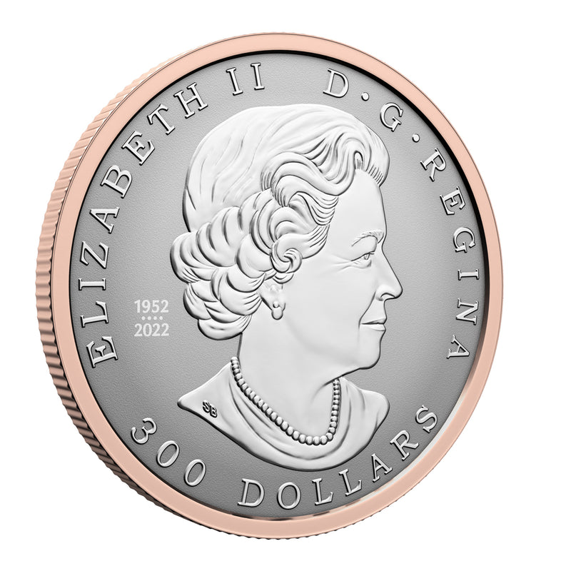 2024 $300 Maple Leaf Forever - Pure Platinum Coin