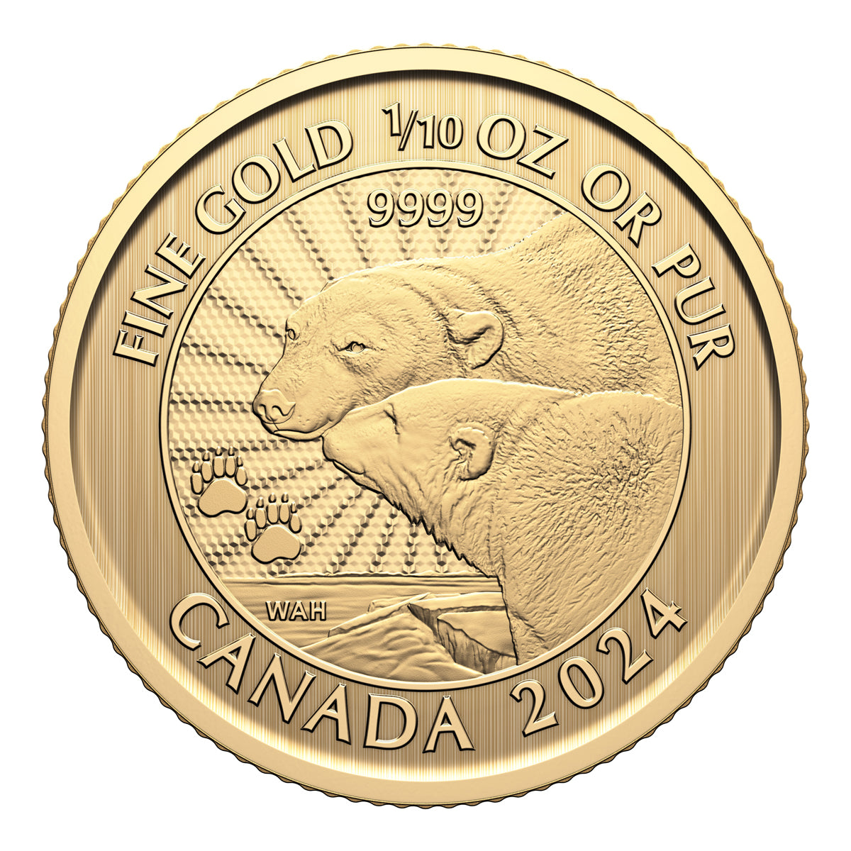 2024 $5 First Strikes: The Majestic Polar Bears - Pure Gold Premium Bullion Coin