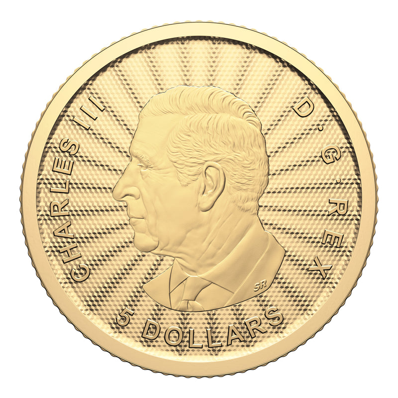 2024 $5 First Strikes: The Majestic Polar Bears - Pure Gold Premium Bullion Coin