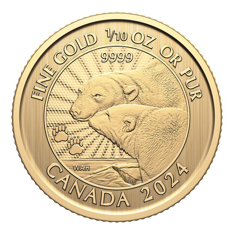 2024 $5 The Majestic Polar Bears - Pure Gold Premium Bullion Coin