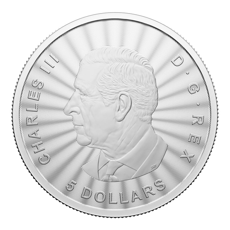 2024 $5 First Strikes: The Majestic Polar Bears - Pure Silver Premium Bullion Coin